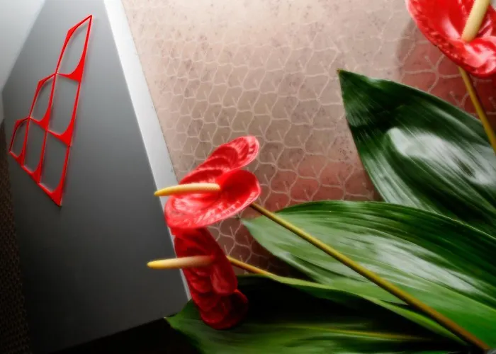 Aparthotel Diamanterosso Terni